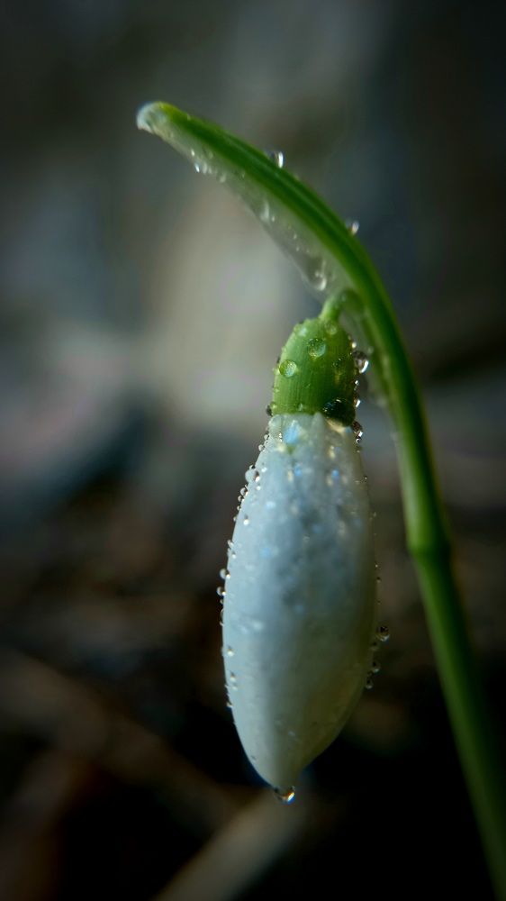 Photograph by Гребенников Владимир