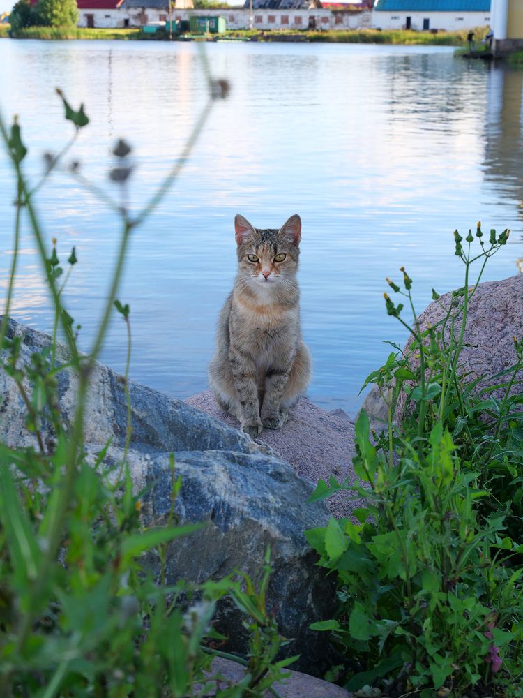 Photograph by Серафима Силина