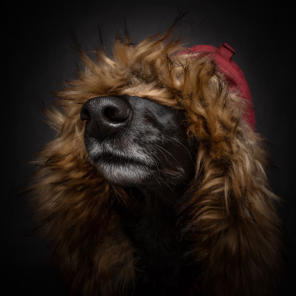 Photograph by Vladimir Smaženka