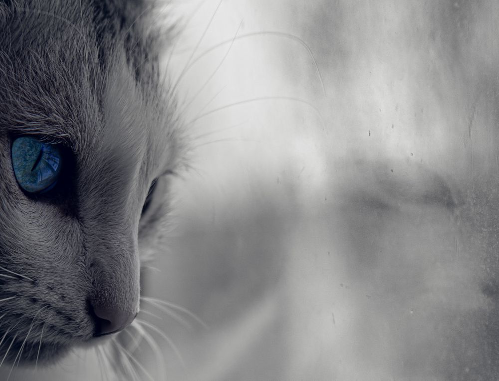 Photograph by Антон Ныскажу