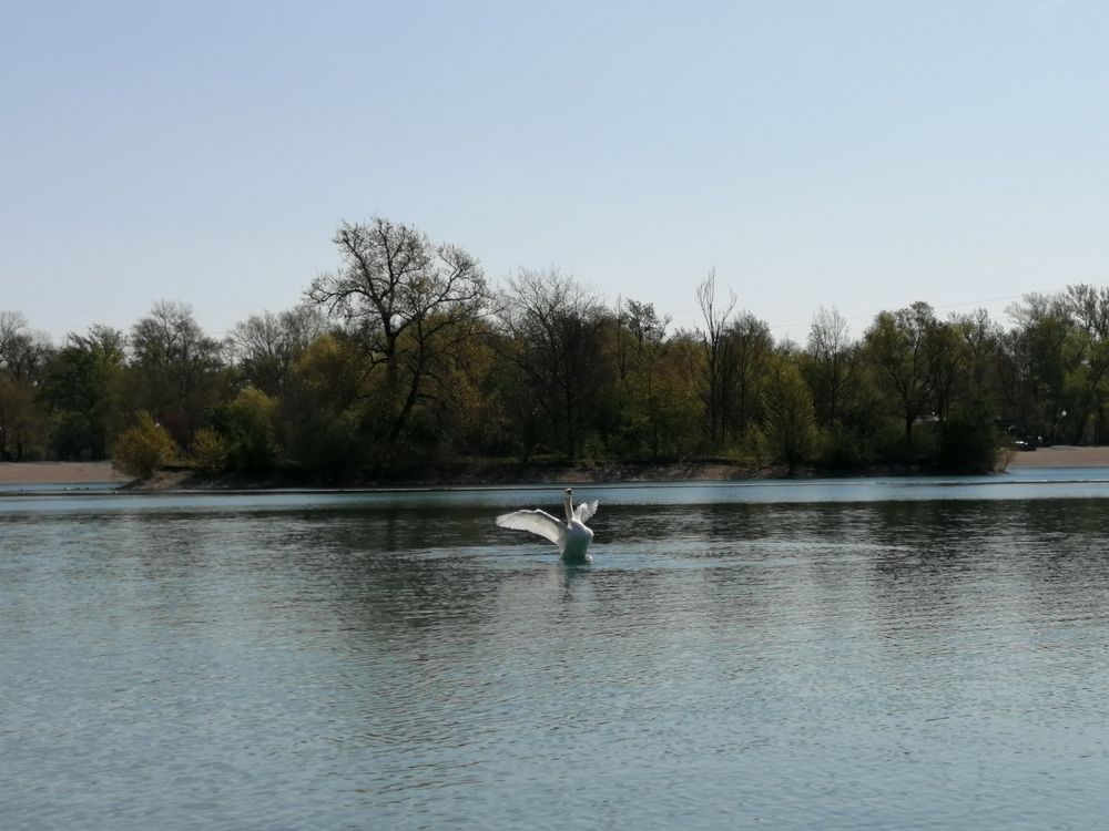 Фотография автора Mario Mihaldinec