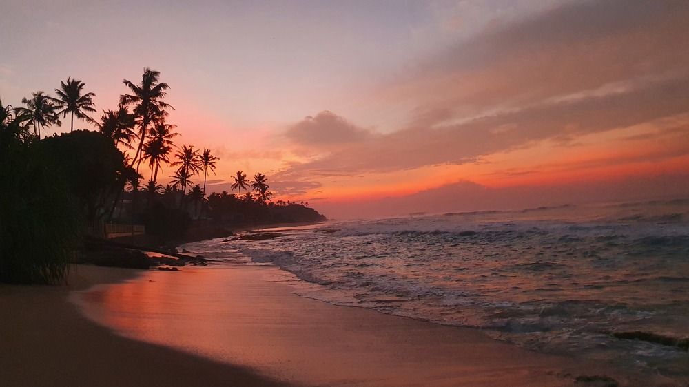 Photograph by Яна Полосина