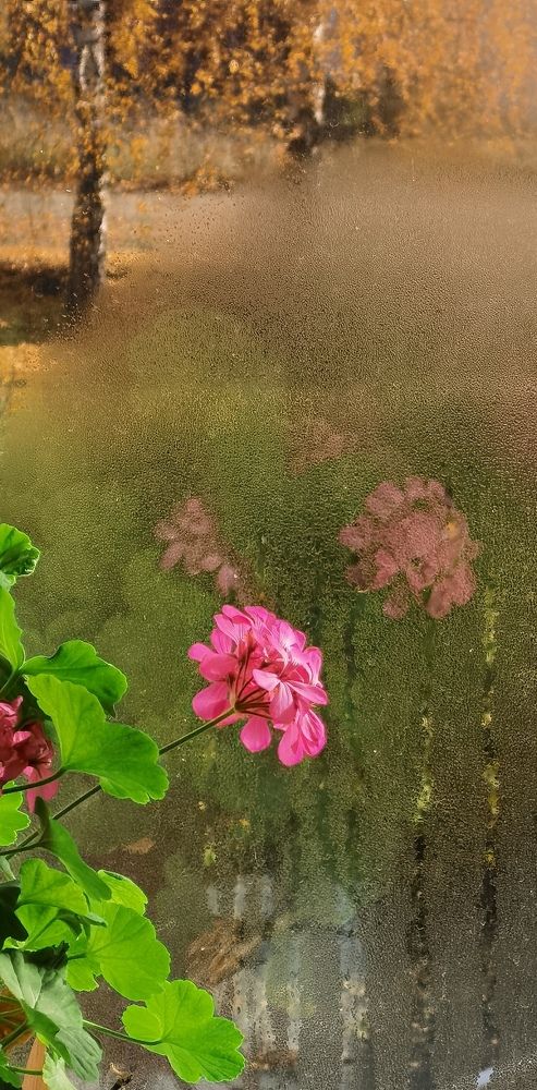 Photograph by Игорь Кошмяков