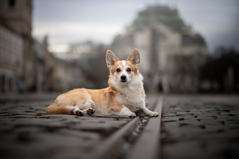 Photograph by Jakub Kudlovsky