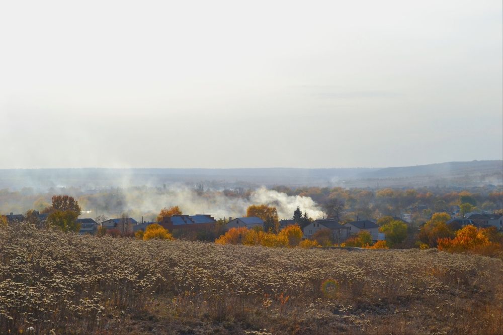 Photograph by Юлия Кононова