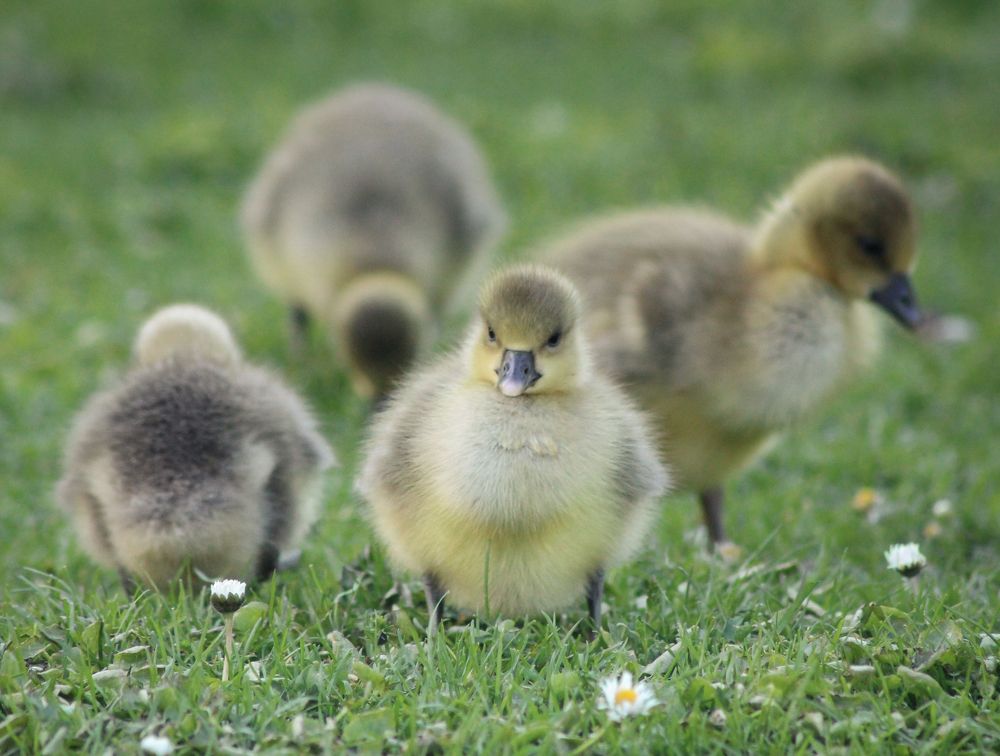 Photograph by Neza Cankar