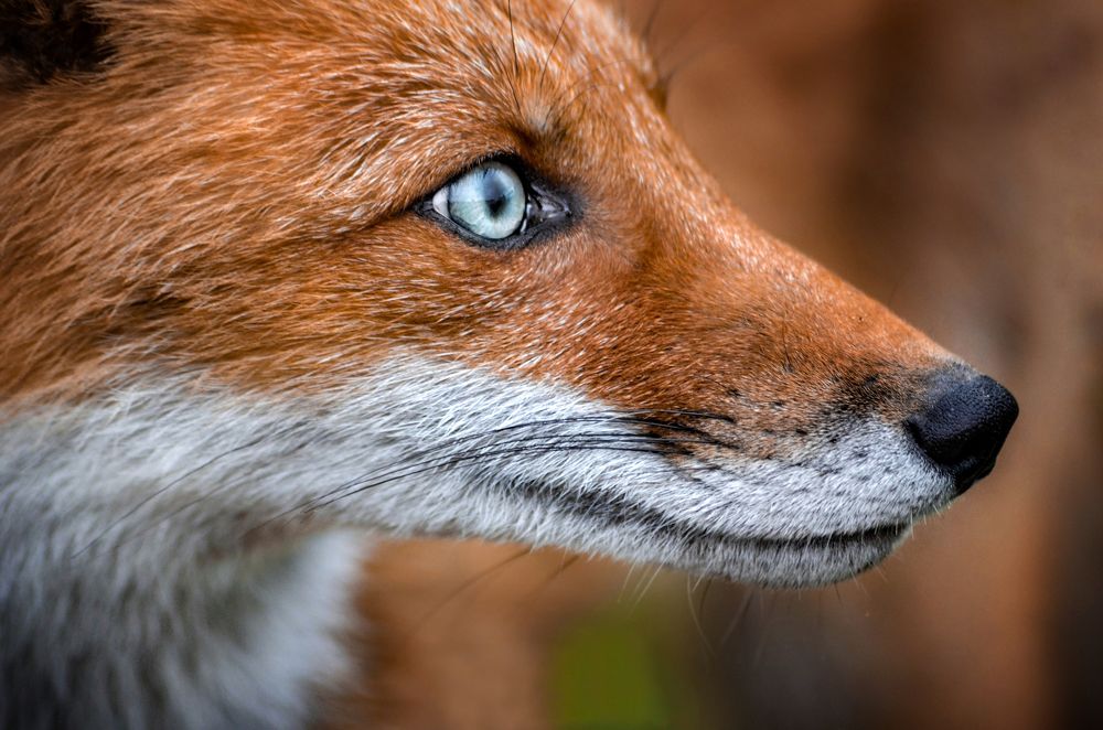 Photograph by Вероника Романенко