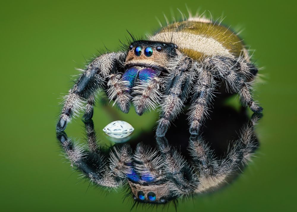 Photograph by Ngọc Trần