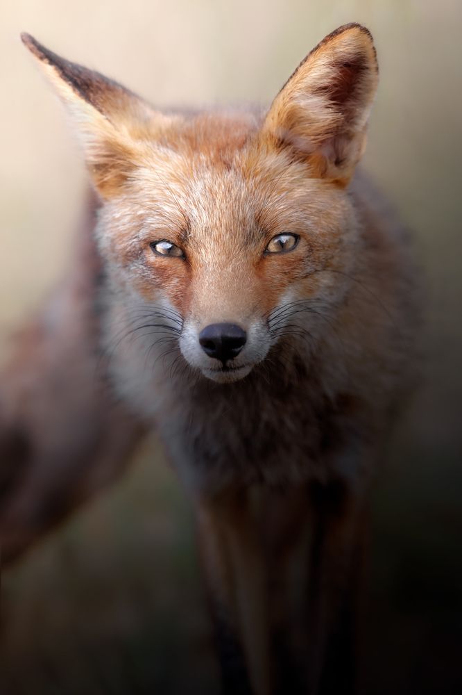 Photograph by Unai Larraya