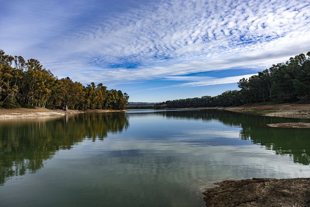 Фотография автора Nicola Lamanna