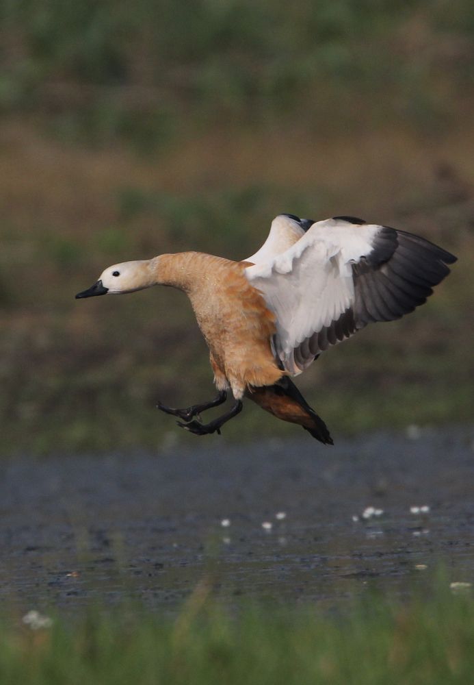 Photograph by Vikram Bahal