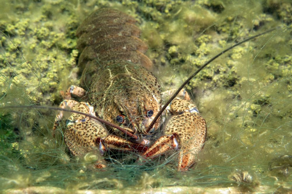 Photograph by Екатерина Чистякова