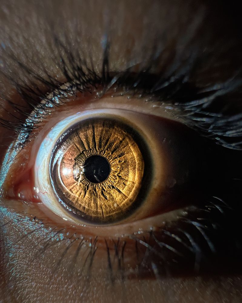 Human eye macro