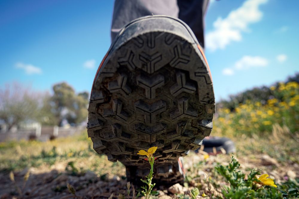 Photograph by Алёна Думнова