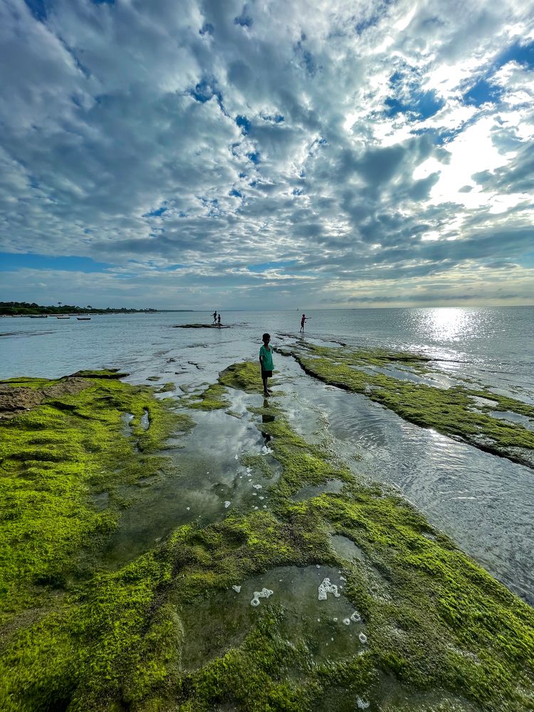 Photograph by Nurul BASHAR ABDUL MAJEETH