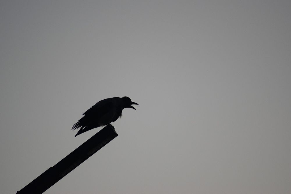 Photograph by Александр Ульянов