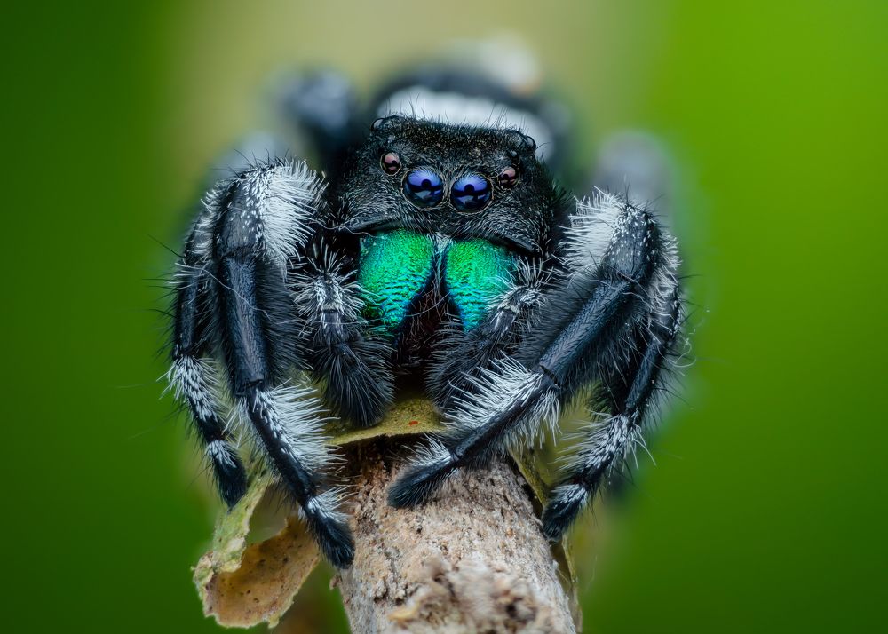 Photograph by Ngọc Trần