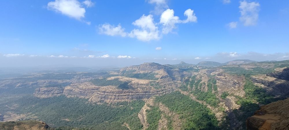 Nature View... Tiger Point