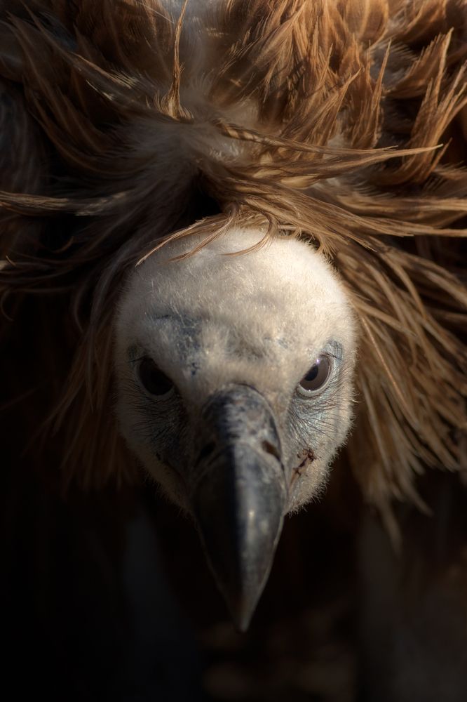 Photograph by Unai Larraya