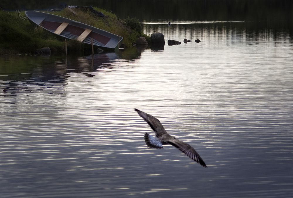 Photograph by Клементьев Виктор