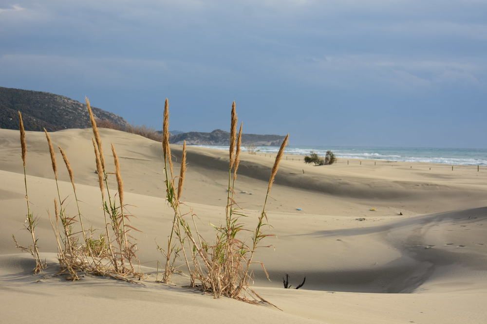 Photograph by Егор Колягин