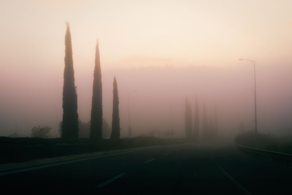 Photograph by Алёна Думнова