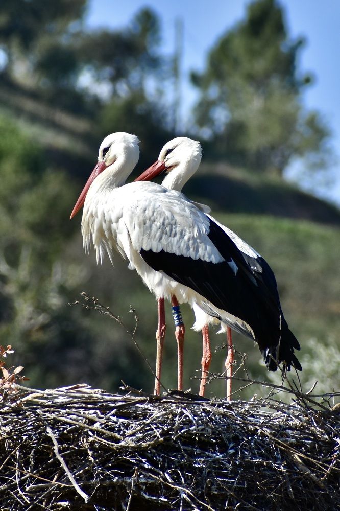 Photograph by Gerty Geerts
