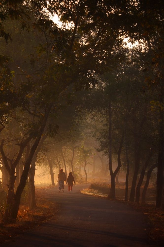 Photograph by Fuad sarker