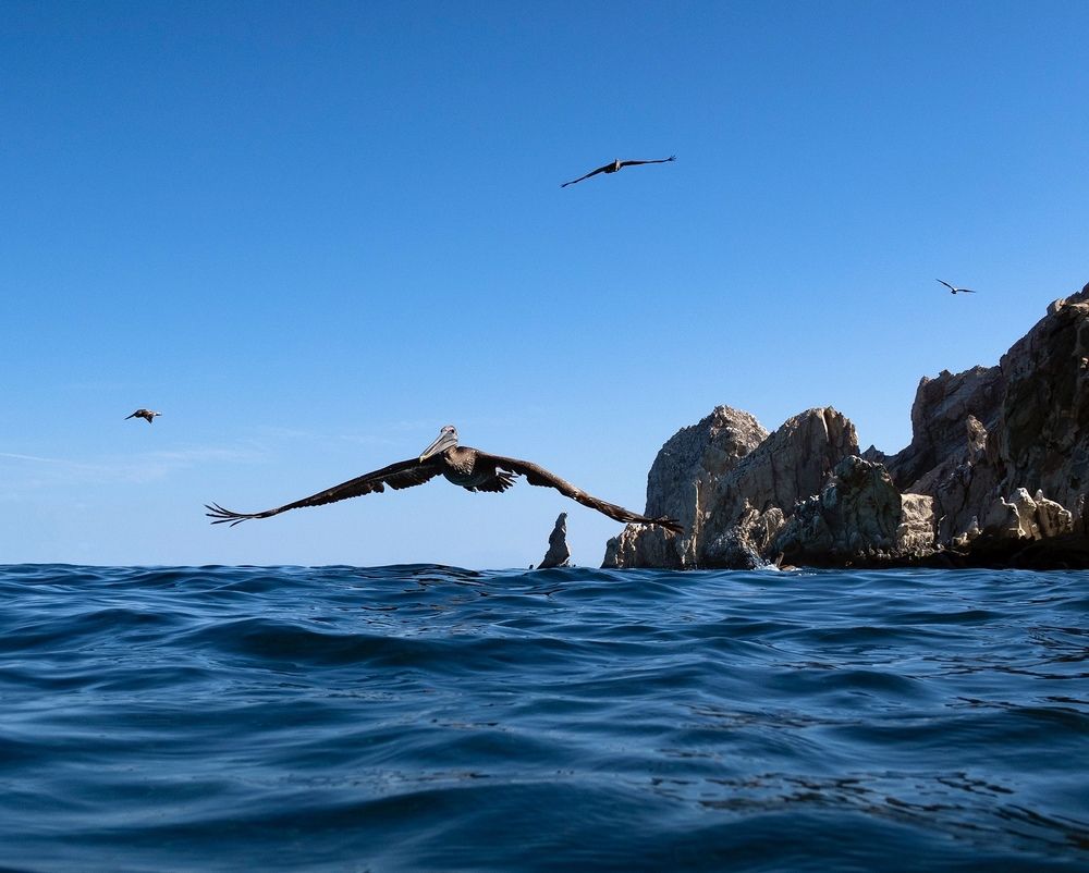 Photograph by Екатерина Чистякова