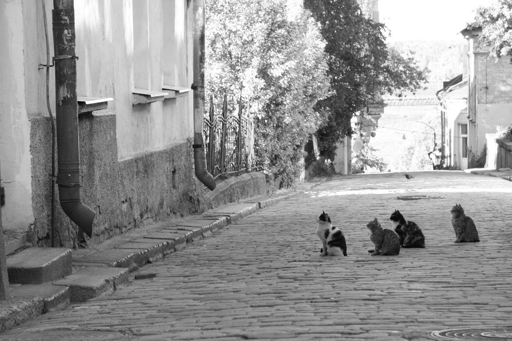 Photograph by Nadezhda Bakina