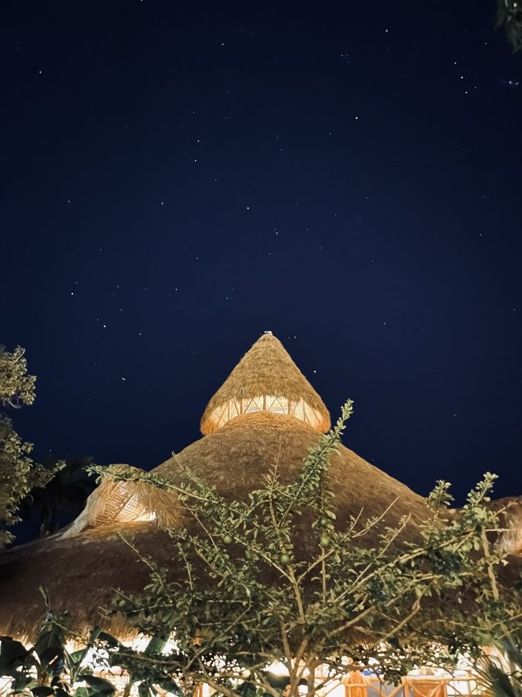 Photograph by Ольга Тимофеева