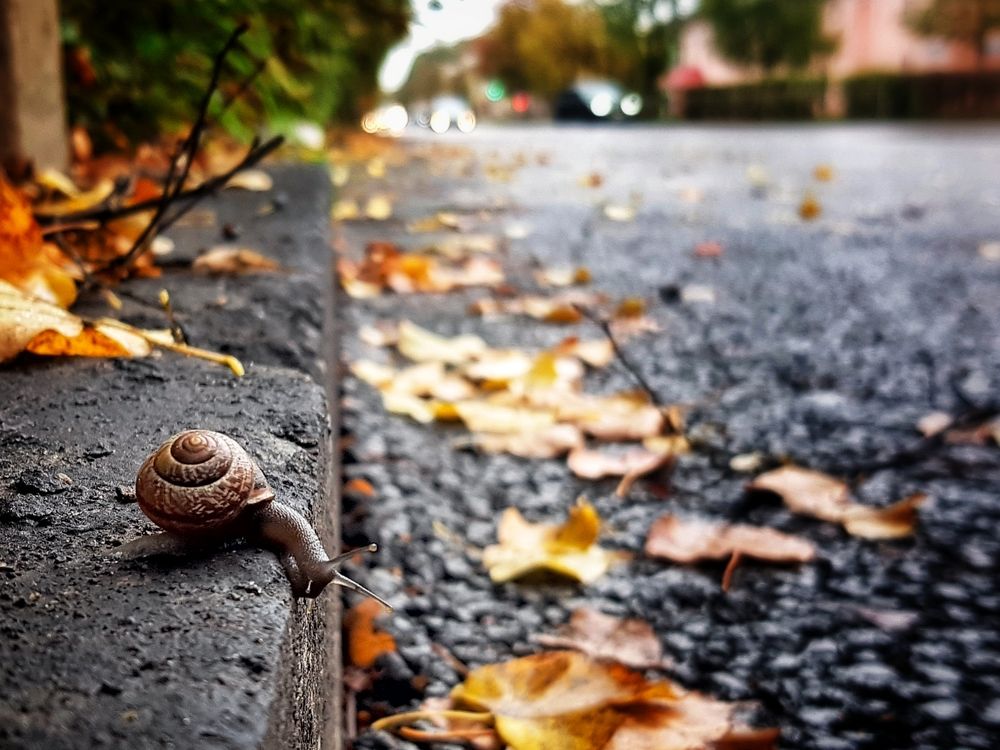 Photograph by Ирина Шумкова