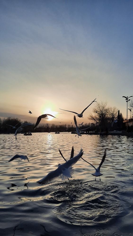 Photograph by Saeed Toghiyani