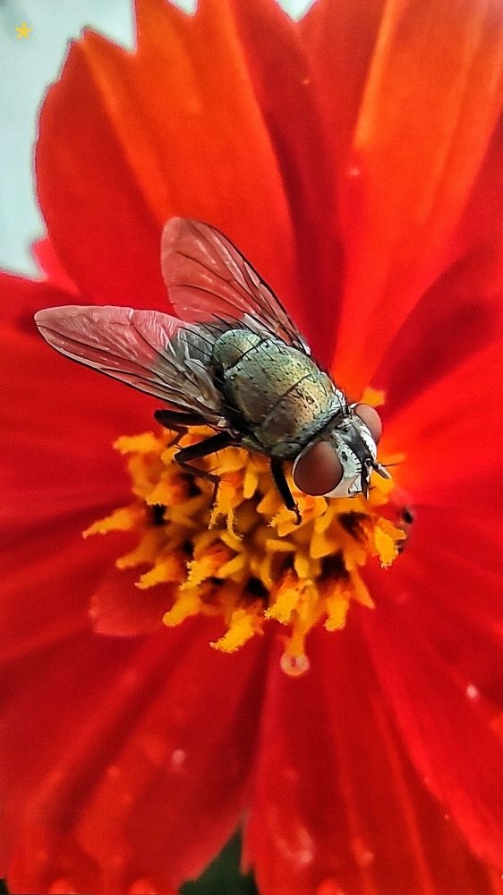 Photograph by Rogério Espost Pacheco