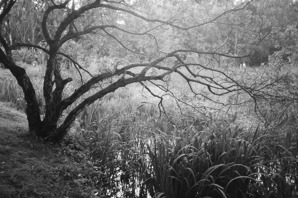 Photograph by Медана Марченко