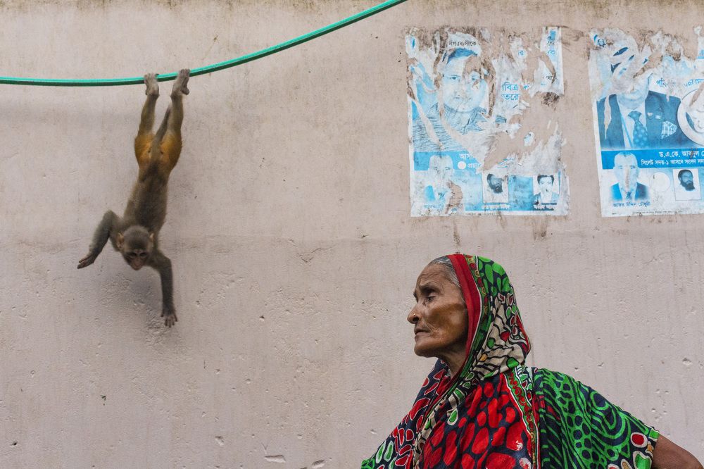 Photograph by Ayman Nakib