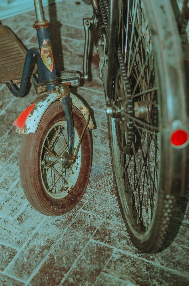 Photograph by Анна Торопова