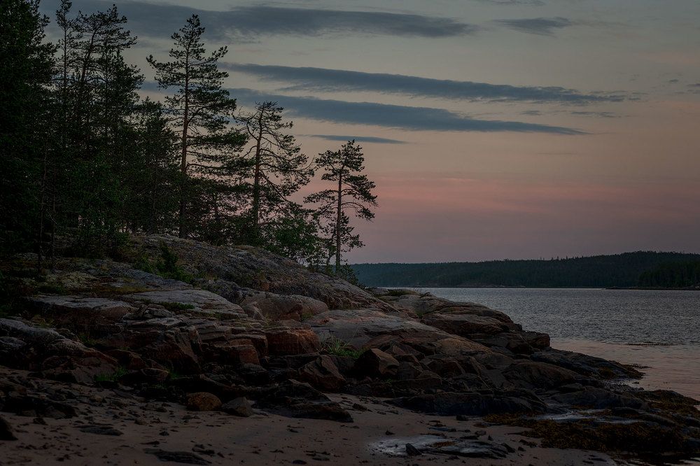 Фотография автора Дмитрий Сергеев