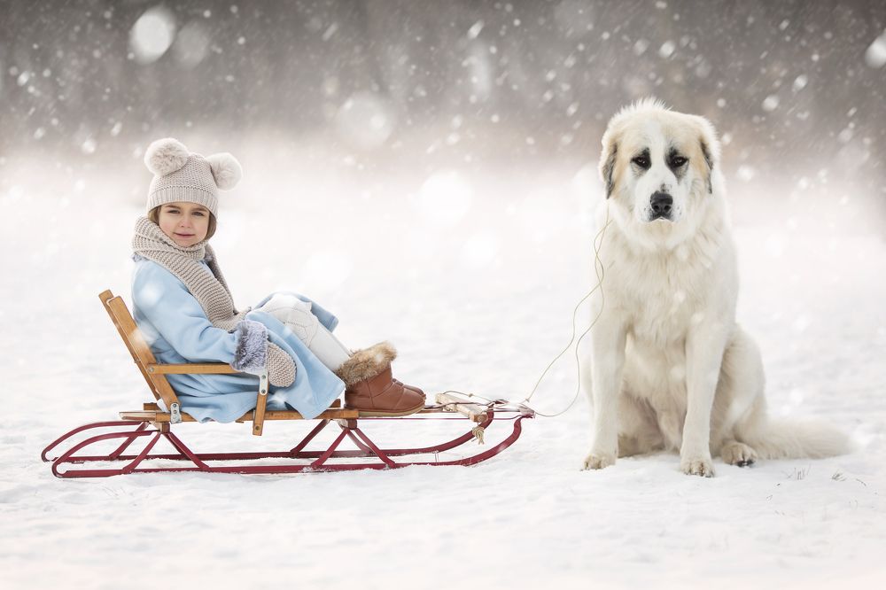 Photograph by Jacqueline Mennenoh