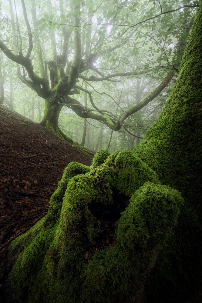 Photograph by Unai Larraya