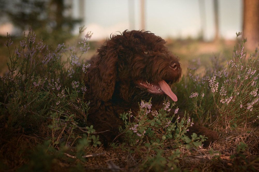 Фотография автора Юрий Бутаков