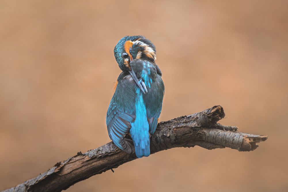 Фотография автора Mehdi EL Baqali