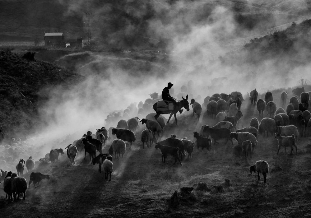 Фотография автора Gılcan Mete Delibay