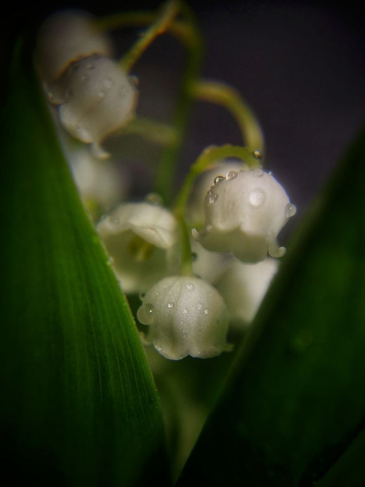 Photograph by Оксана Маракушина