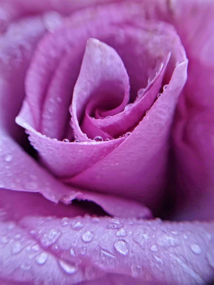 Photograph by Евгения Алексеева