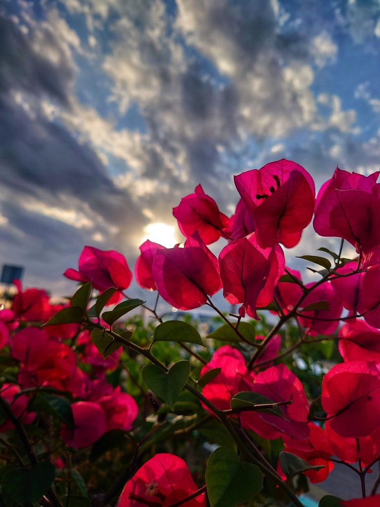 Photograph by Ali Oveisi