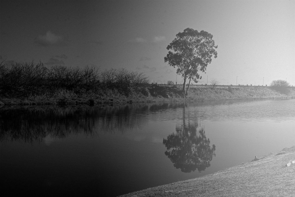 Фотография автора Vilma Albamonte