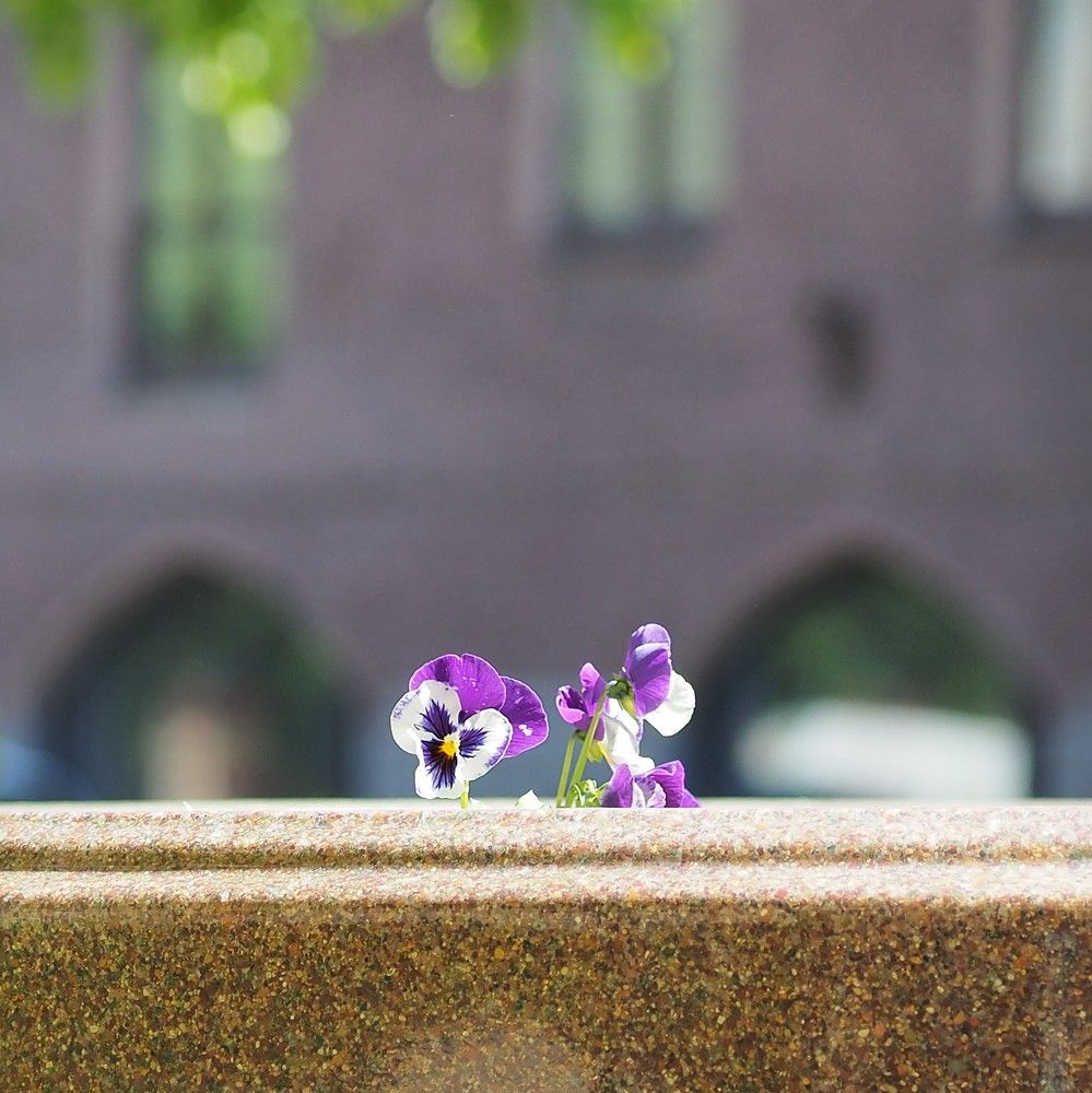 Photograph by Григорий