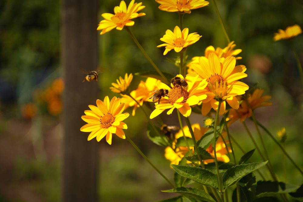 Photograph by Hanna Rein