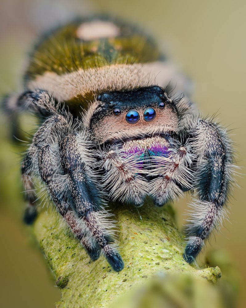 Photograph by Ngọc Trần